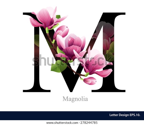 Letter M Vector Alphabet Magnolia Flower Stock Vector (Royalty 