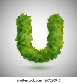 A letter made by leaves, vector