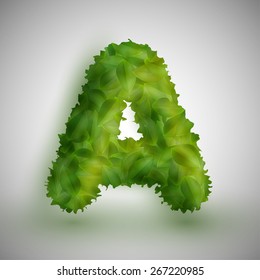 A letter made by leaves, vector