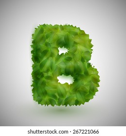 A letter made by leaves, vector