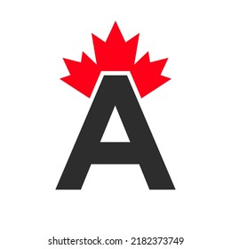 Letter A Maple Leaf Logo Template Symbol of Canada. Minimal Canadian Business, Company Logo