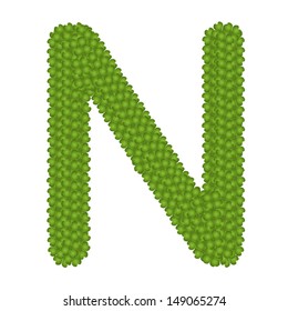 Letter N, Alphabet Letters Made of Four Leaf Clover Isolated on White Background 