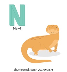 Letter N and a cute cartoon newt. Children's English alphabet. It is suitable for the design of postcards, books, leaflets, banners, birthday invitations. Colorful vector illustration