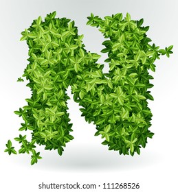 Letter N , green leaves summer vector alphabet.