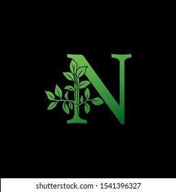 Letter N logo icon. Creative vector logo icon design concept green nature floral tree ornament with letter N for business or company identity. 