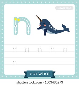 Letter N lowercase cute children colorful zoo and animals ABC alphabet tracing practice worksheet of Dark blue Narwhal for kids learning English vocabulary and handwriting vector illustration.