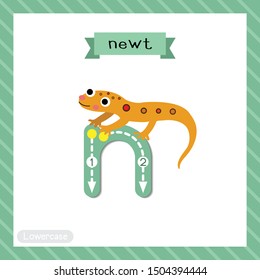 Letter N lowercase cute children colorful zoo and animals ABC alphabet tracing flashcard of Eastern Red-spotted Newt for kids learning English vocabulary and handwriting vector illustration.