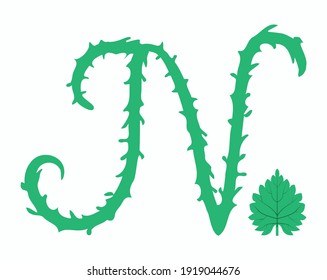 Letter N in plant style nettle stalk with hairs and nettle leaf