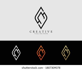 letter N and S design logo template  modern creative elegant