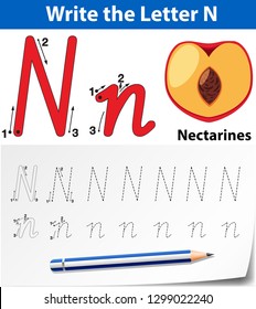 Letter N tracing alphabet worksheets illustration