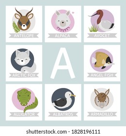 Letter Named Animals Cute Alphabet 260nw 1828196111 
