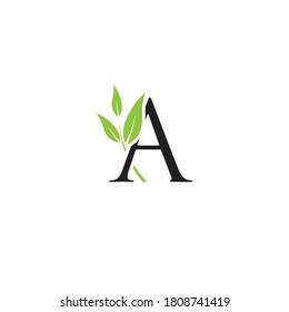 Letter A nature logo design. Simple minimalist vector template