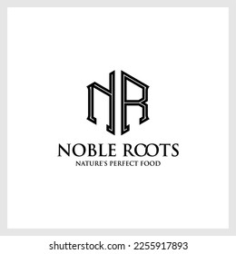 serif con logotipo de letter nr polygon