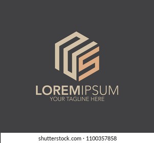 Letter NS logo. initial design vector