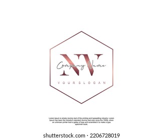 Letra NV Logo de escritura manual inicial con firma y estilo dibujado a mano.