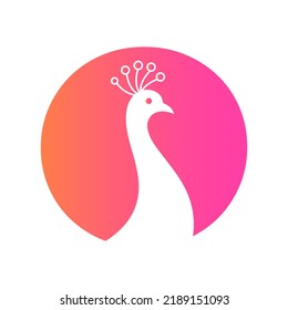 Letter O Beautiful Peacock Logo Template Vector Template Colorful Logotype