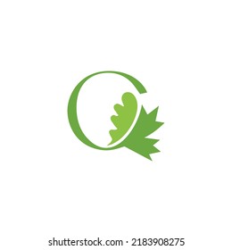 Letter O Combo Logo With Green Leaves