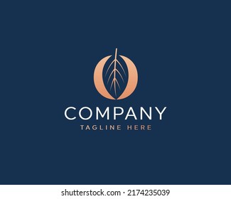 Letter O with leaf modern logo design inspiration  vector Image