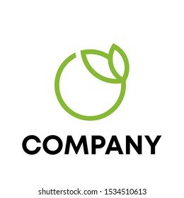 letter O logo design concept template