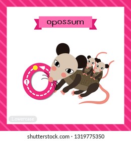 Letter O lowercase cute children colorful zoo and animals ABC alphabet tracing flashcard of Mother and baby Opossum for kids learning English vocabulary and handwriting vector illustration.