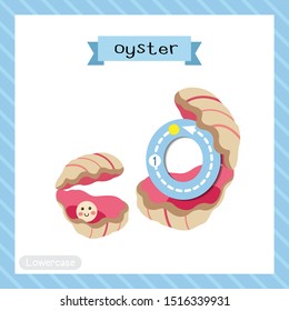 Letter O lowercase cute children colorful zoo and animals ABC alphabet tracing flashcard of Oyster with a pearl for kids learning English vocabulary and handwriting vector illustration.