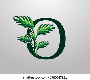 Letter O monstera green plant icon, tropical leaves decorative logo