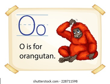 A letter O for orangutan on a white background 