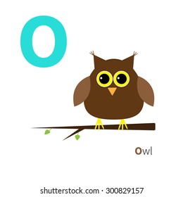 Letter O Owl Zoo alphabet. English abc with animals Education cards for kids Isolated White background Flat design Vector illustration