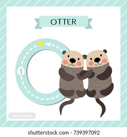 Letter O uppercase cute children colorful zoo and animals ABC alphabet tracing flashcard of Otter couple holding hands for kids learning English vocabulary and handwriting vector illustration.