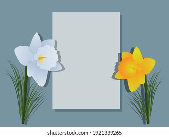 A letter on a turquoise background with daffodil flowers. Vector illustration. Spring mockup is suitable for greetings, invitations, flyers, promotions