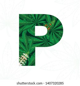 Letter P with cannabis leaf for logo design.