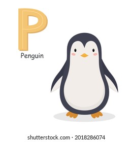 Letter P and a cute cartoon penguin. Children's English alphabet. It is suitable for the design of postcards, books, leaflets, banners, birthday invitations. Colorful vector illustration