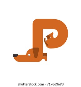 Letter P is dog. pet font. Dachshund alphabet. Lettering home animal