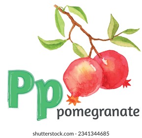 Letter P of the English alphabet with the image of a pomegranate  in watercolor on a white background. Children's drawing.