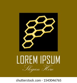 Letter P Hexagonal modern logo style