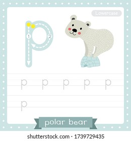 Letter P lowercase cute children colorful zoo and animals ABC alphabet tracing practice worksheet of Polar Bear and igloo for kids learning English vocabulary and handwriting vector illustration.
