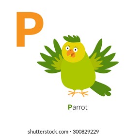 Letter P Parrot Zoo alphabet. English abc with animals Education cards for kids Isolated White background Flat design Vector illustration