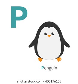 Letter P Penguin Zoo alphabet. English abc with animals Education cards for kids Isolated White background Flat design Vector illustration