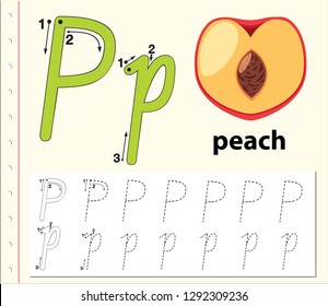 Letter P tracing alphabet worksheets illustration