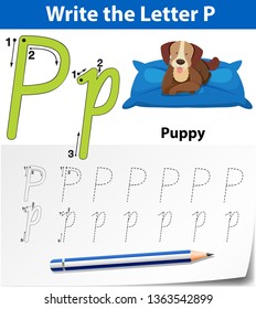 Letter P tracing alphabet worksheets illustration