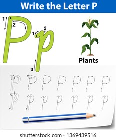 Letter P tracing alphabet worksheets illustration