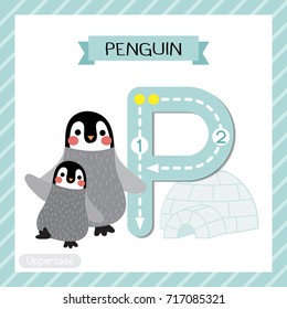 Letra P niños lindos en mayúscula zoo colorido y animales flashcard de seguimiento del alfabeto ABC de madre y niño pingüino para niños que aprenden vocabulario inglés y ilustración vectorial de escritura a mano.