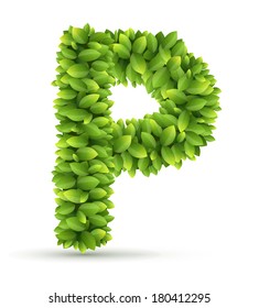 Letter P, vector alphabet of green leaves  on white background