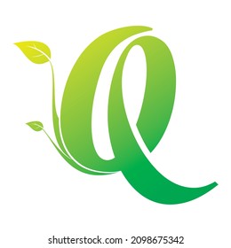 Letter Q alphabet with leaf vector logo