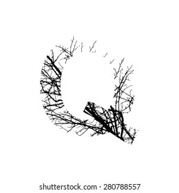 Letter Q double exposure with black tree isolated on white background.Vector  illustration.Black and white double exposure silhouette numbers combined with photograph of nature.Letters of the alphabet