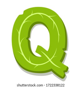 Letter Q, green leaves summer vector alphabet. The simple logo of letter Q green color. Isolated illustration on white background.