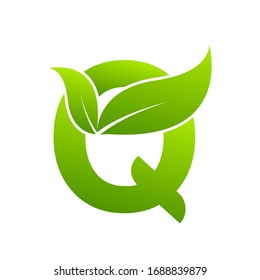 Letter Q with leaf element,  Ecology concept