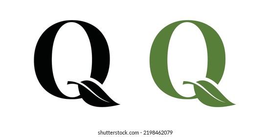 Letter Q with leaf icon modern flat logo vector