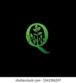 Letter Q logo icon. Creative vector logo icon design concept green nature floral tree ornament with letter Q for business or company identity. 