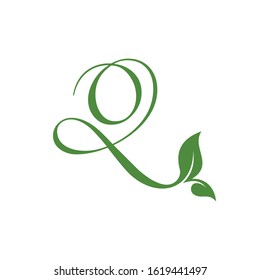Letter Q Logo Vector With ornament Leaf